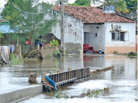 Educação ambiental: uma necessidade