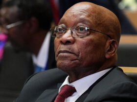Zuma recebe perdão como “infractor não violento”