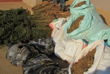 Quatro detidos indiciados de tráfico e venda ilegal de drogas na Beira